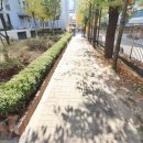 주공공인중개사 사무소 이미지