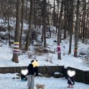 양평 주주송 독채펜션 이미지