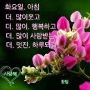 🐲재미로 보는 오늘 운세 이미지