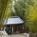 죽녹원 이미지