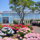 남원읍-13 이미지