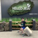 지훈이네 이미지