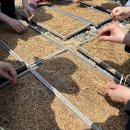 기린농장 이미지