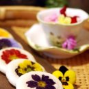 (주)우리요리 이미지