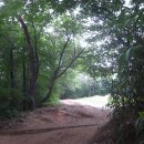 광산구-154 이미지