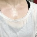 피노키오 복싱 이미지