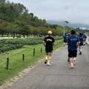 미사한강3호공원 | 마라톤] 2025 뉴런 한강마라톤 10KM 하남미사경정공원 주차 정보