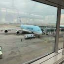 밀리언스크린골프 | 인천공항-나리타 대한항공 출국 절차, 온라인 체크인, 셀프 백드랍, 스마트 패스(주의점), 기내식_KE 703