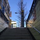 보고사