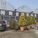 용인-남사-1 | 용인 남사화훼단지 1부 예삐플라워아울렛 평일 방문후기 및 추천루트