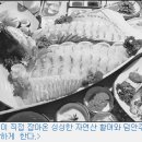 태안/안면도 초겨울 맛집여행 5선 이미지