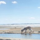 도기플래닛 더 스테이 이미지