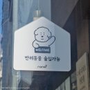 [영등포구청 카페] 반려동물 동반 | 수제디저트 맛집 | 멜리플루어스 후기