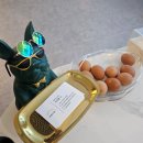 크라운호프 지산점 | 대구 수성구 에스테틱 온열돔 전신 디톡스 후기 [예쁘디온]