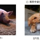 동물사랑 - 동작구 사당로16가길 12-22 | 동물사랑