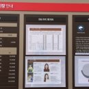 월드컵인라인스케이트장 이미지