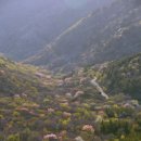 진달래축산 이데일리