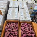 햇 고구마&amp;나주 햇 원황배&amp;딱딱이 복숭아 &amp;완숙토마토!!!! 이미지
