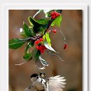 숲속의 하루 이미지