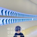 들꽃발전소 협동조합 | 대구 실외 아이랑 가볼만한곳 봄나들이 강정보 디아크 문화관 (텐트)