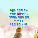 바꿔 신은 고무신 [잘난 사람 영상 글] 이미지