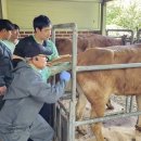 한우연구소 이미지