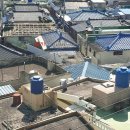 완월동102 이미지