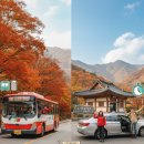 금강산 가는길 안내소 | 지금이 절정! 정읍역에서 내장산 단풍 여행: 비용, 시간 완벽 가이드 (탐방안내소 가는 길)