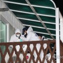 강릉펜션 이미지