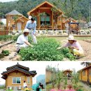 안씨농장 이미지