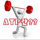 시스템 짐 이미지