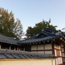 김상만농장 이미지