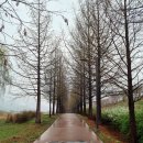 화수공원 이미지