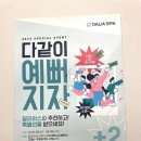 달리아스파부산 네이버블로그