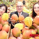 애플망고 이미지