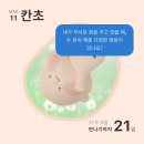 초산모 임신일기 37주차 막달검사 붓기 허그박스｜갑자기 찾아온 노잼시기