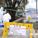 신창농장 이미지