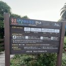 중문해수욕장주차장 | [제주 서귀포 일몰 스팟추천 ]중문색달해수욕장 노을 일몰 후기🤍