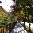 분설담화장실 이미지