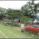 황토닭갈비 이미지