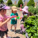 버클리어린이집 이미지