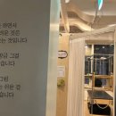 강남필라테스 - 강남구 선릉로 713 | 동이 즐거워진 이유, 서초PT 리얼핏&PT필라테스 강남본점 후기 💪