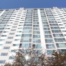 청송공인중개사사무소 이미지