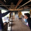 대벌농장 이미지