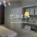 캔디브로우
