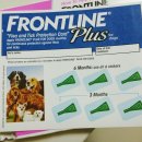 역삼동물약국 이미지