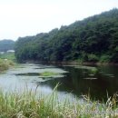 덕송2로 이미지