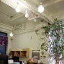 퍼피니스 | 애견카페 퍼피니스