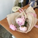 도즈스윗워즈