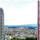 강릉부동산공인중개사사무소 네이버블로그